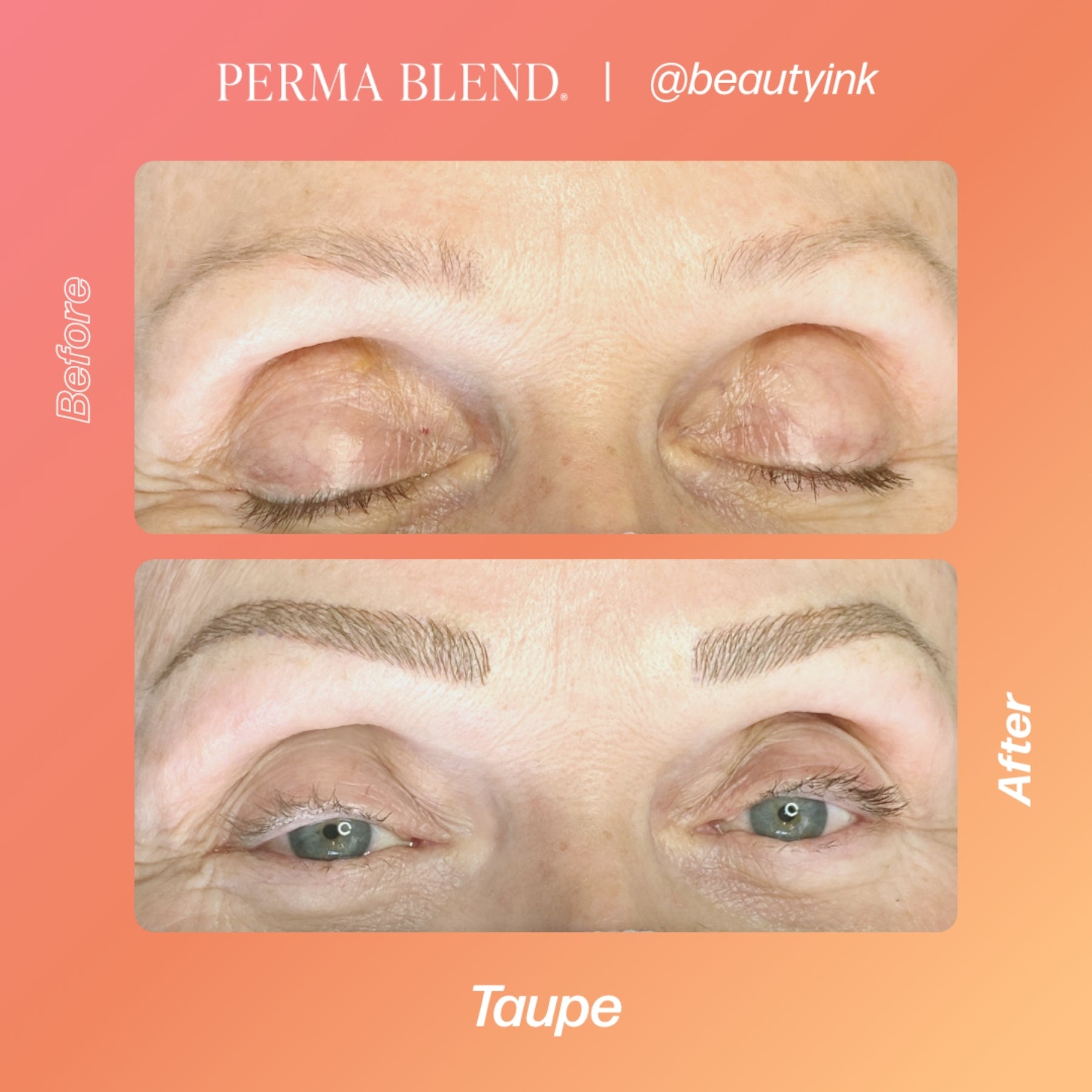 Perma Blend Eyebrow Pigments - Brow Shades