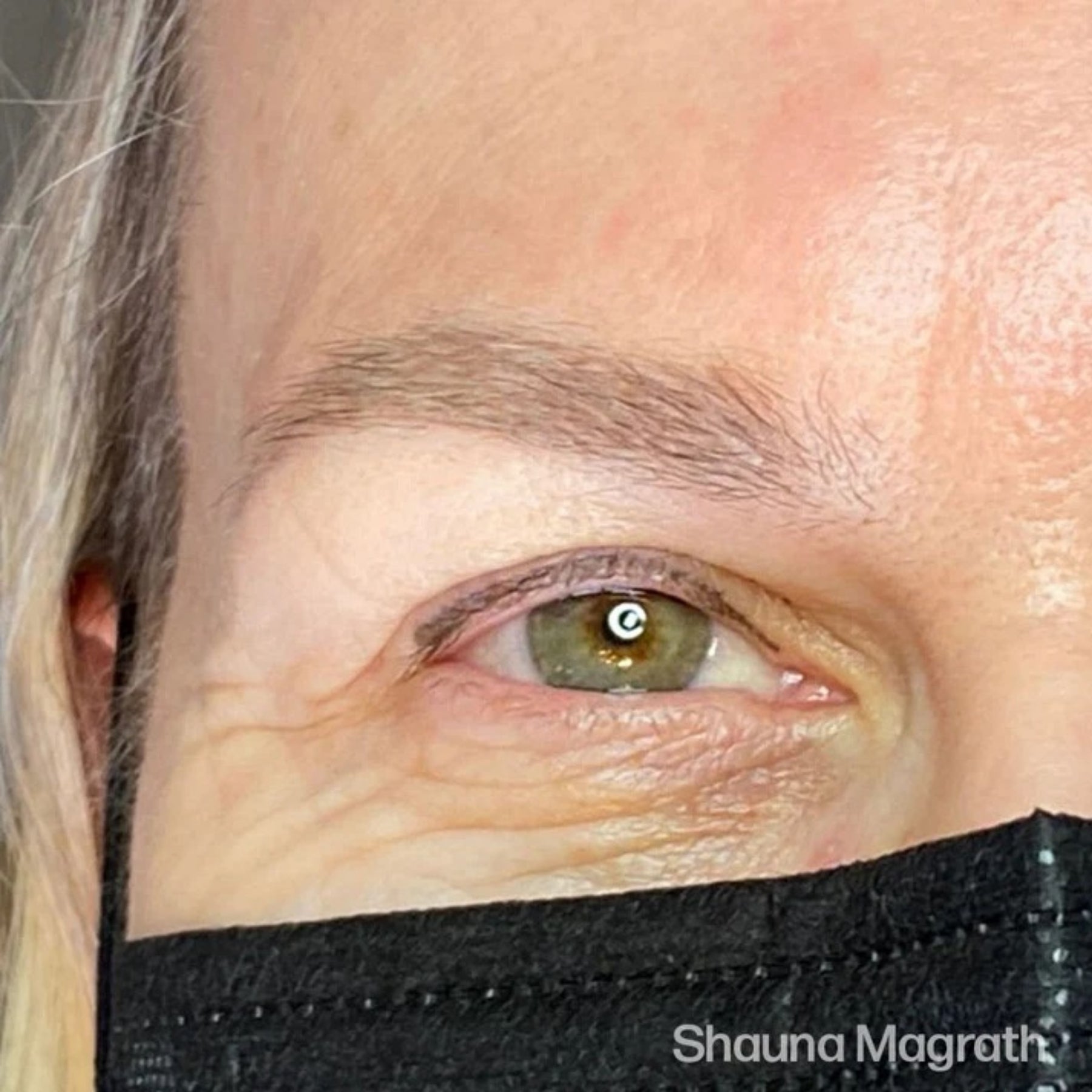 Perma Blend Eyebrow Pigments - Brow Shades
