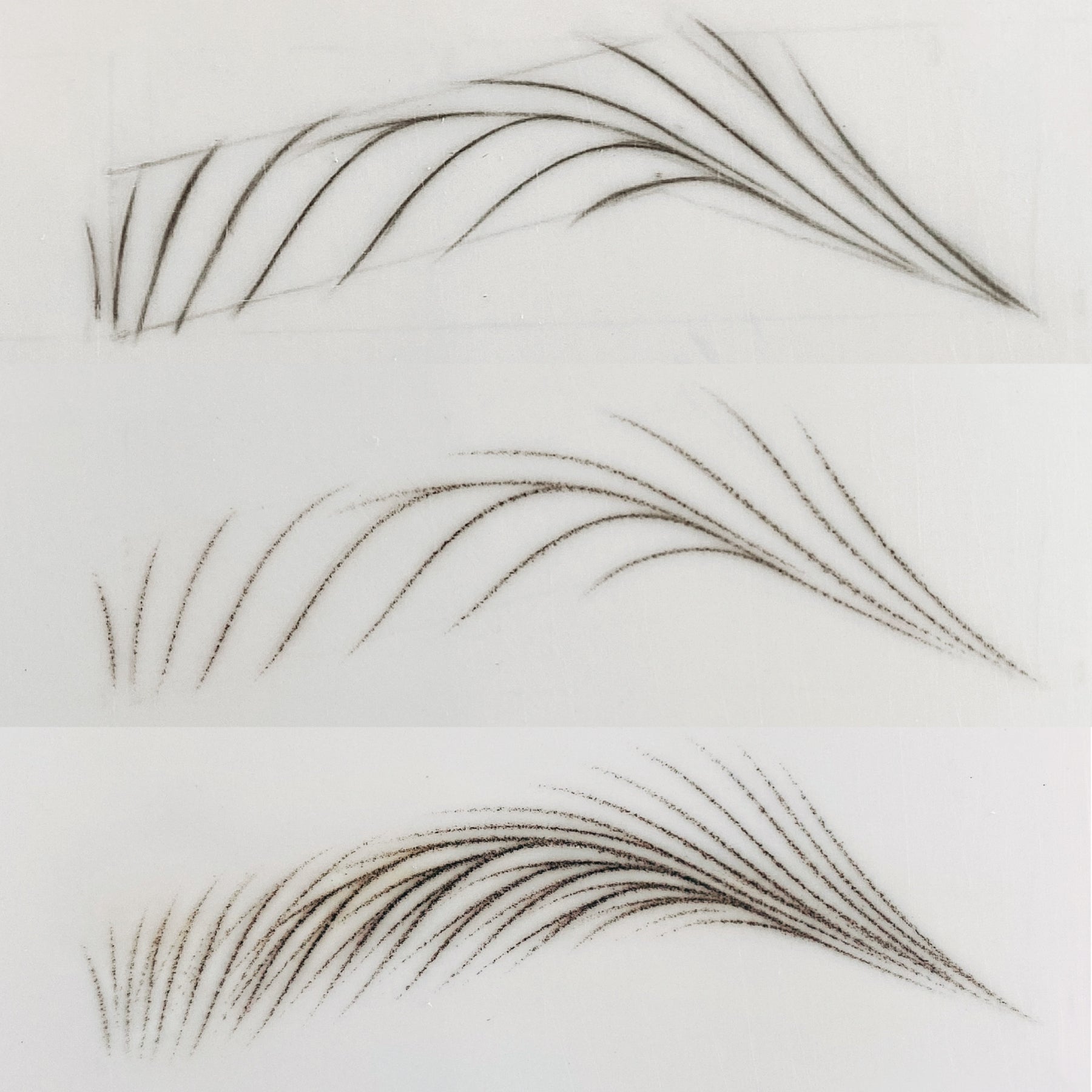 Nano Brows by Beauté Academy