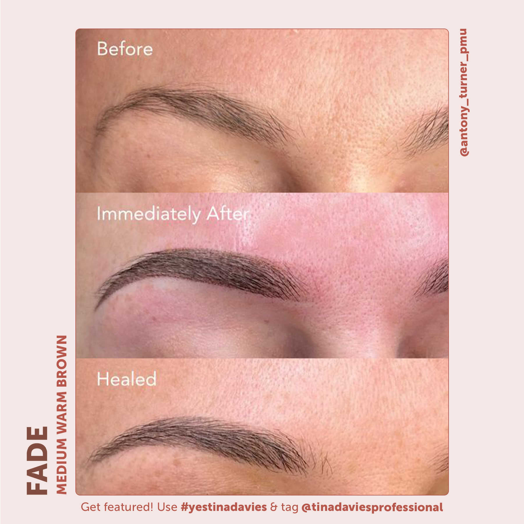 FADE Eyebrow Pigments