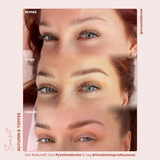 Sunset Brow Pigments