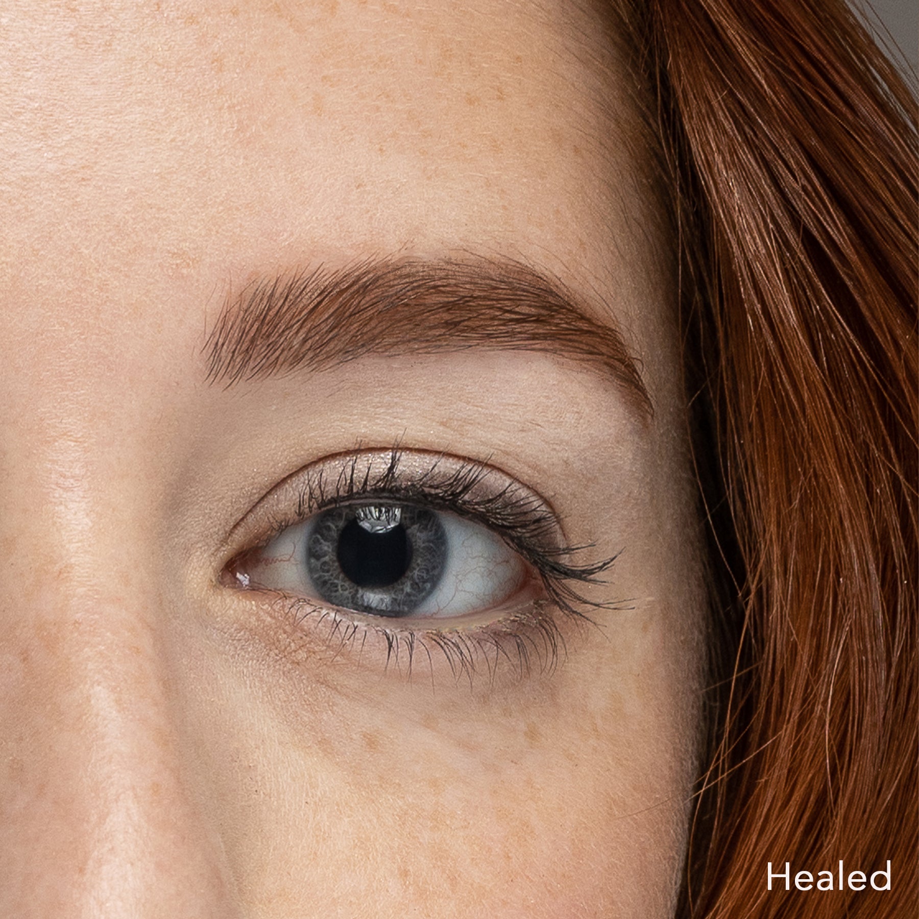 Sunset Brow Pigments