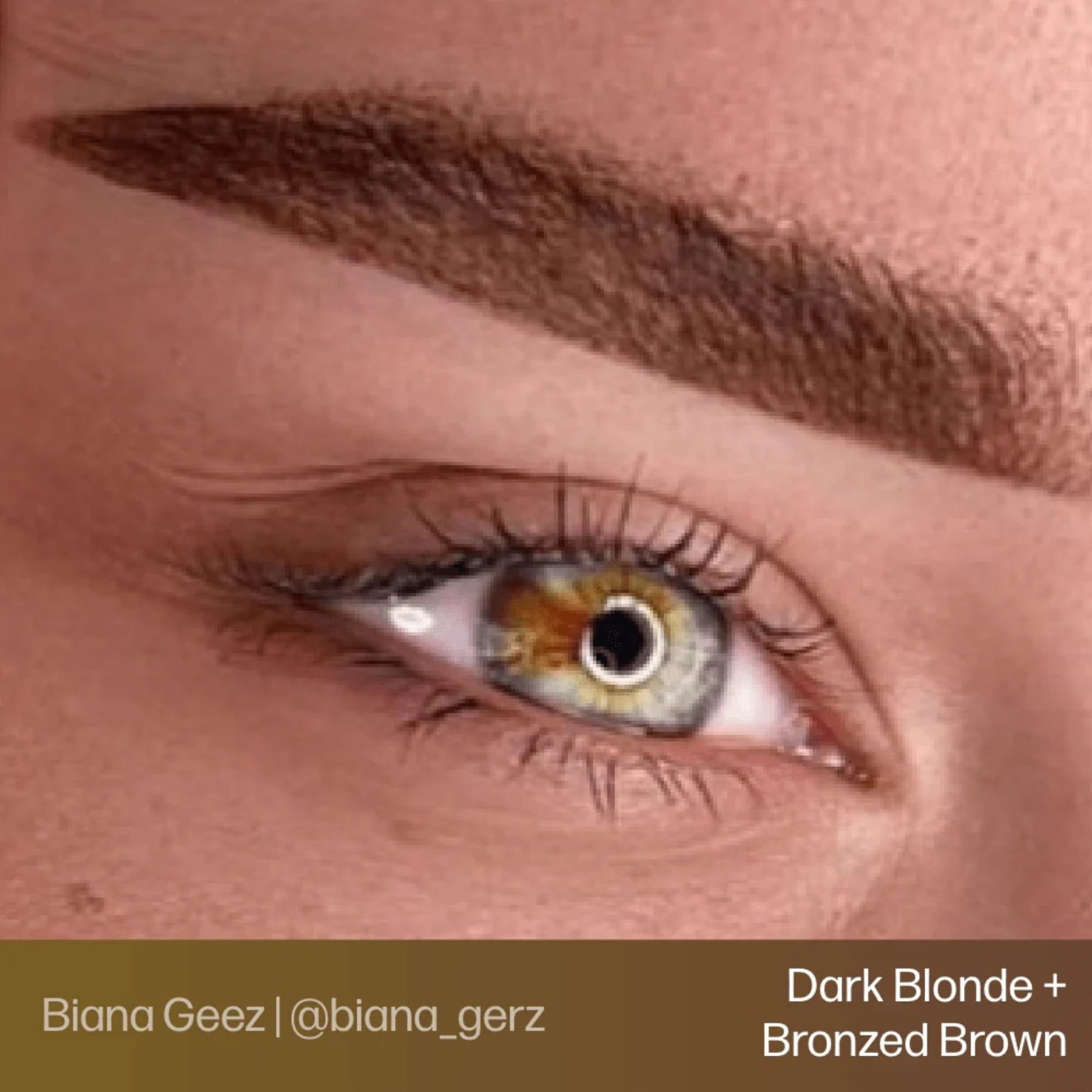 Evenflo Blonde 2 Brunette Set