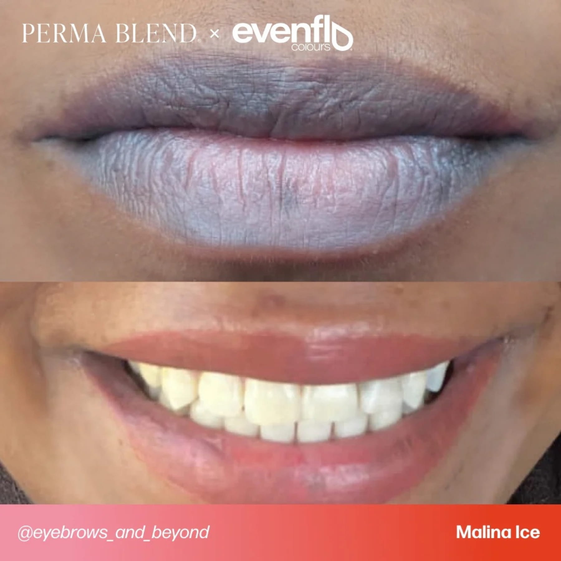 Evenflo Colours | Lip Shades