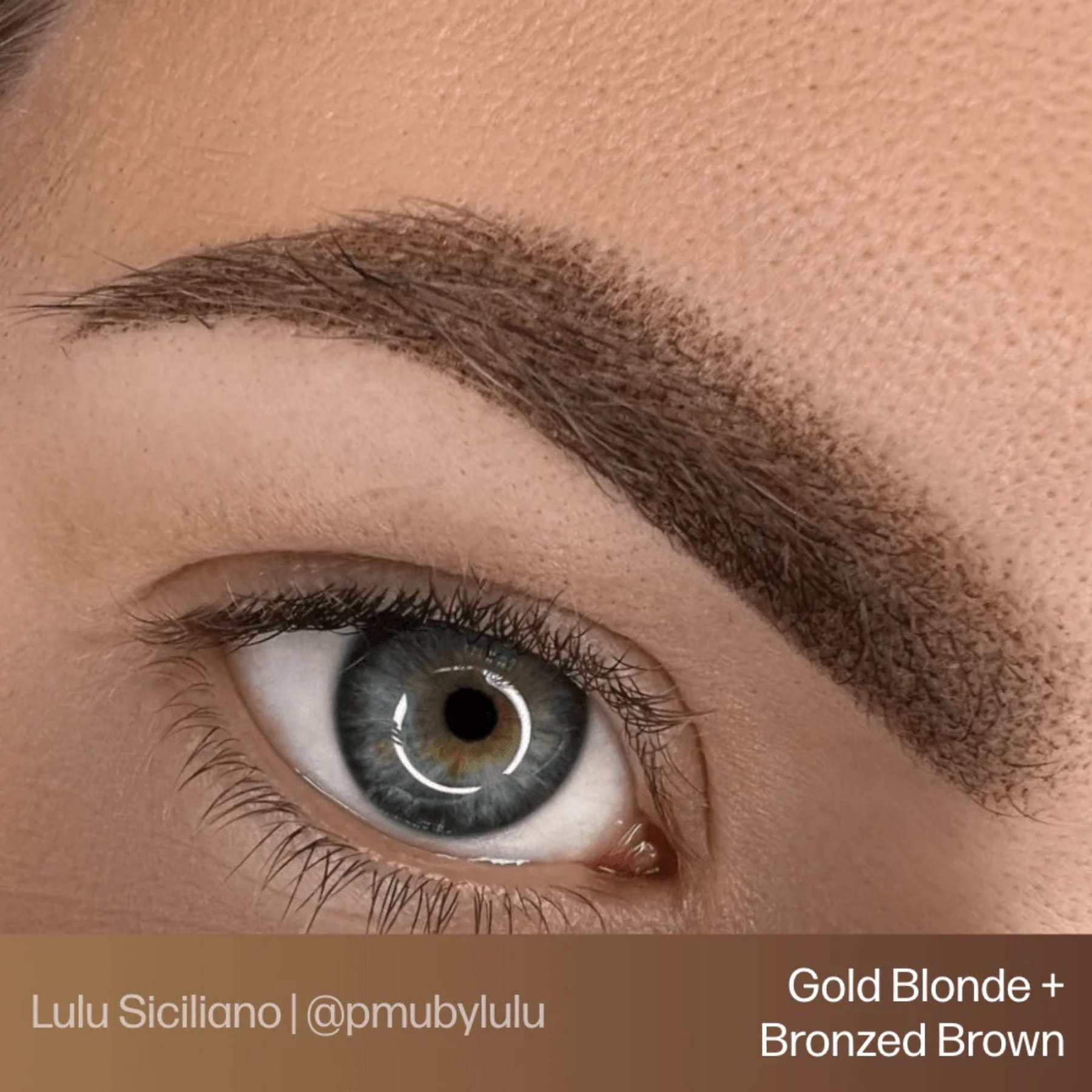 Perma Blend x Lulu Siciliano Evenflo Blonde 2 Brunette Set