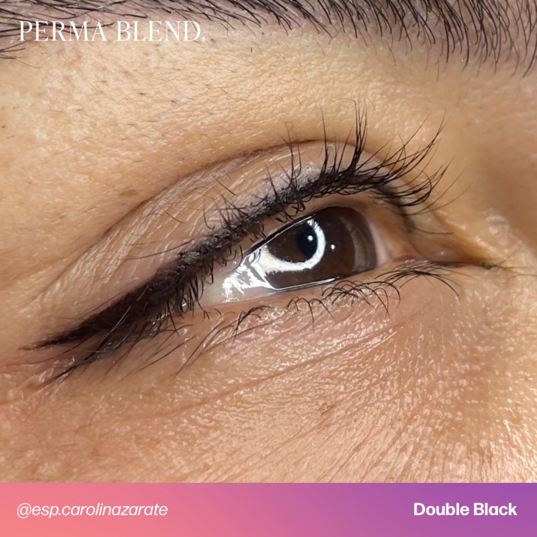 Perma Blend Eyeliner Pigments