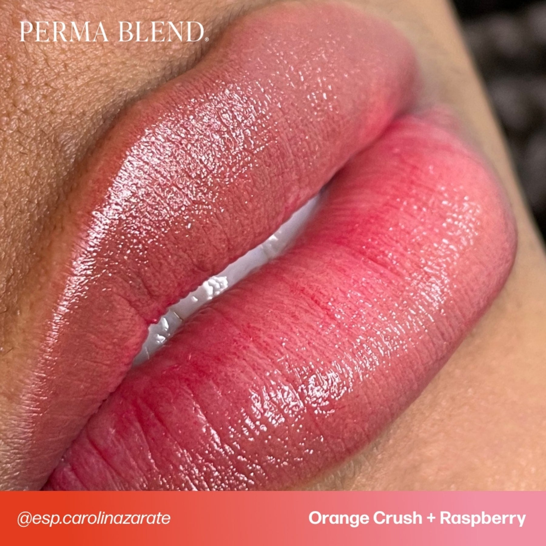 Perma Blend Sultry Lip Pigment Set