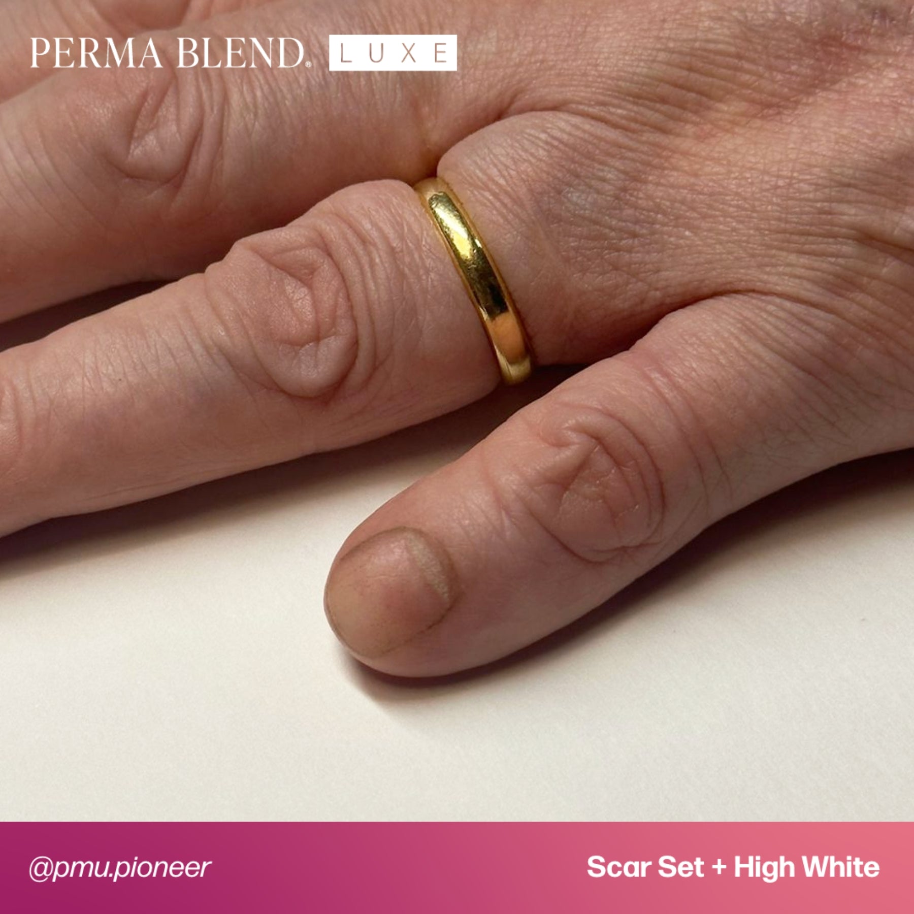 Perma Blend Scar Pigment Set