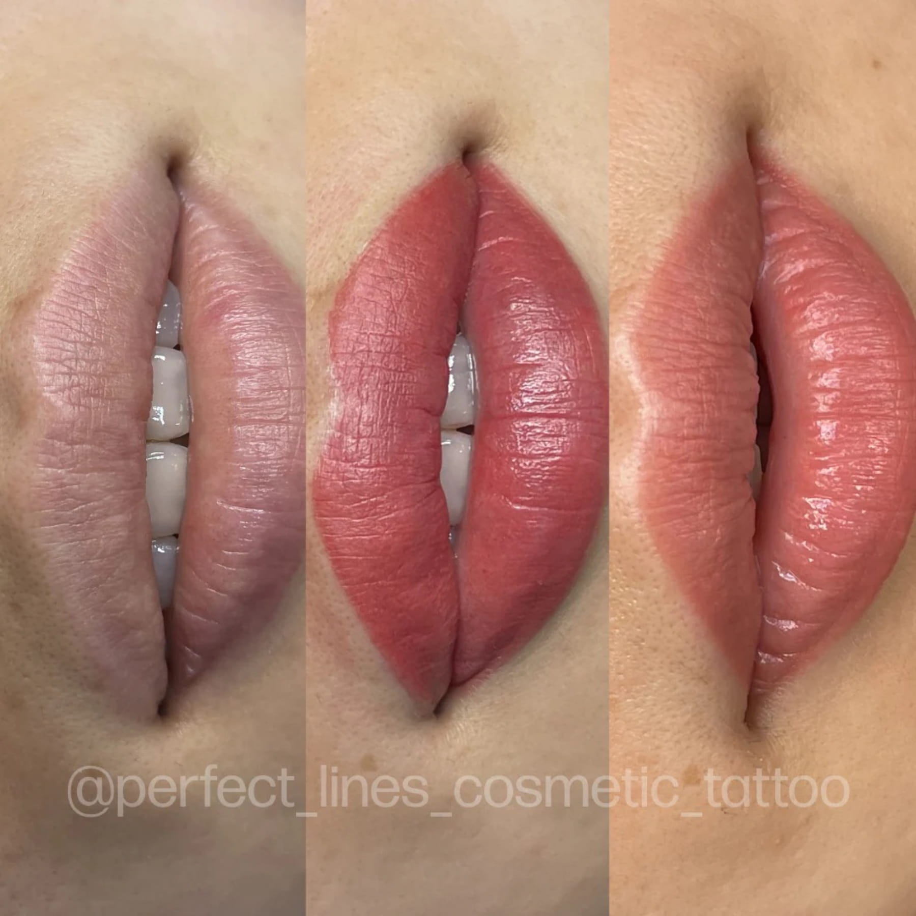 Evenflo Colours | Lip Set
