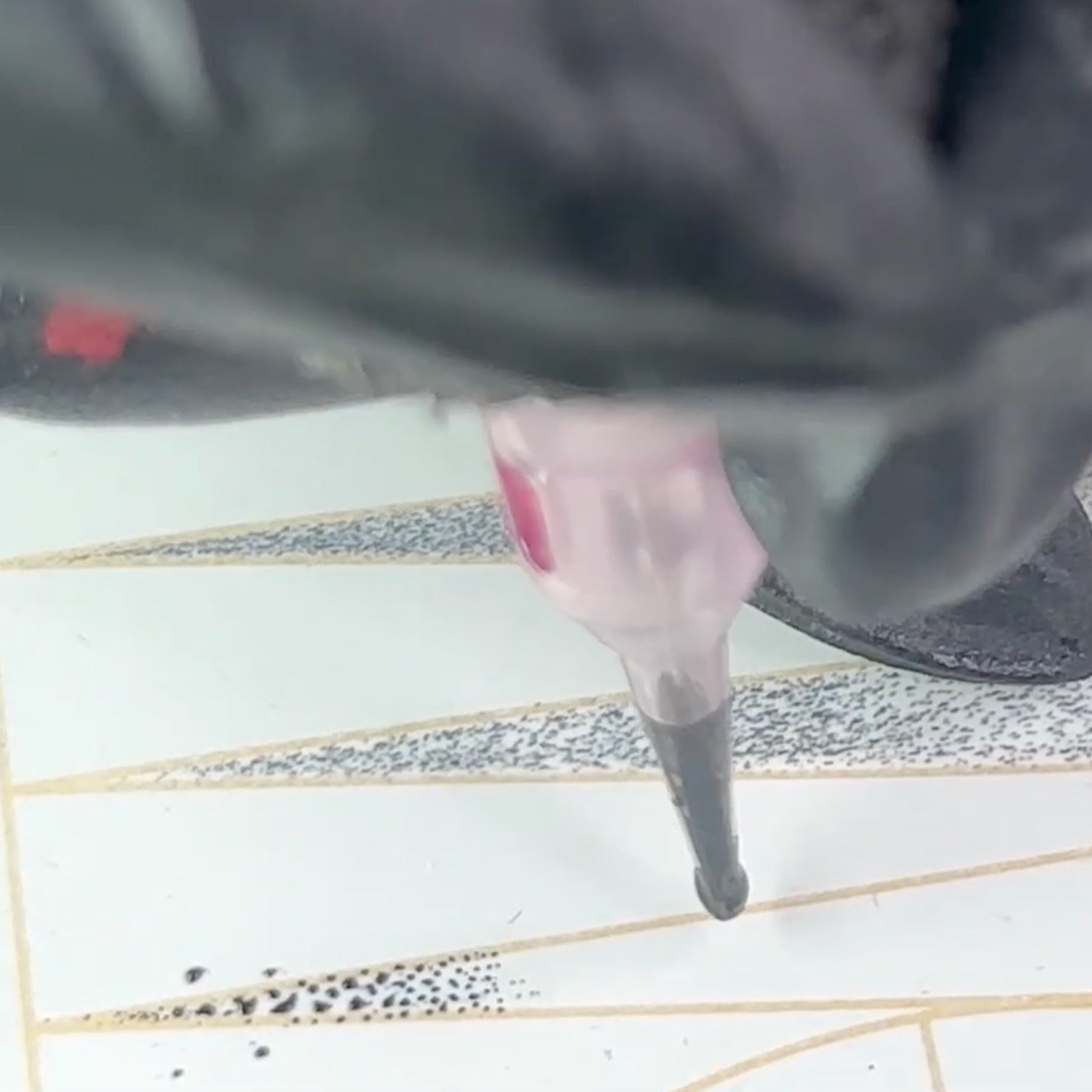 Combo Is Queen: Nano Hybrid Mastery by Maya Moore