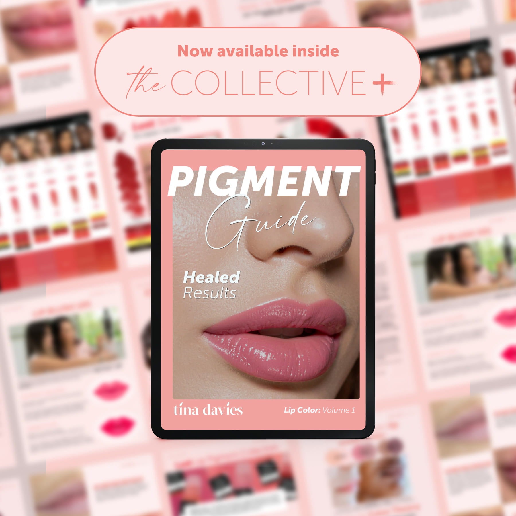 Tina Davies Pigment Digital Guide: Healed Results Lip Color: Volume 1