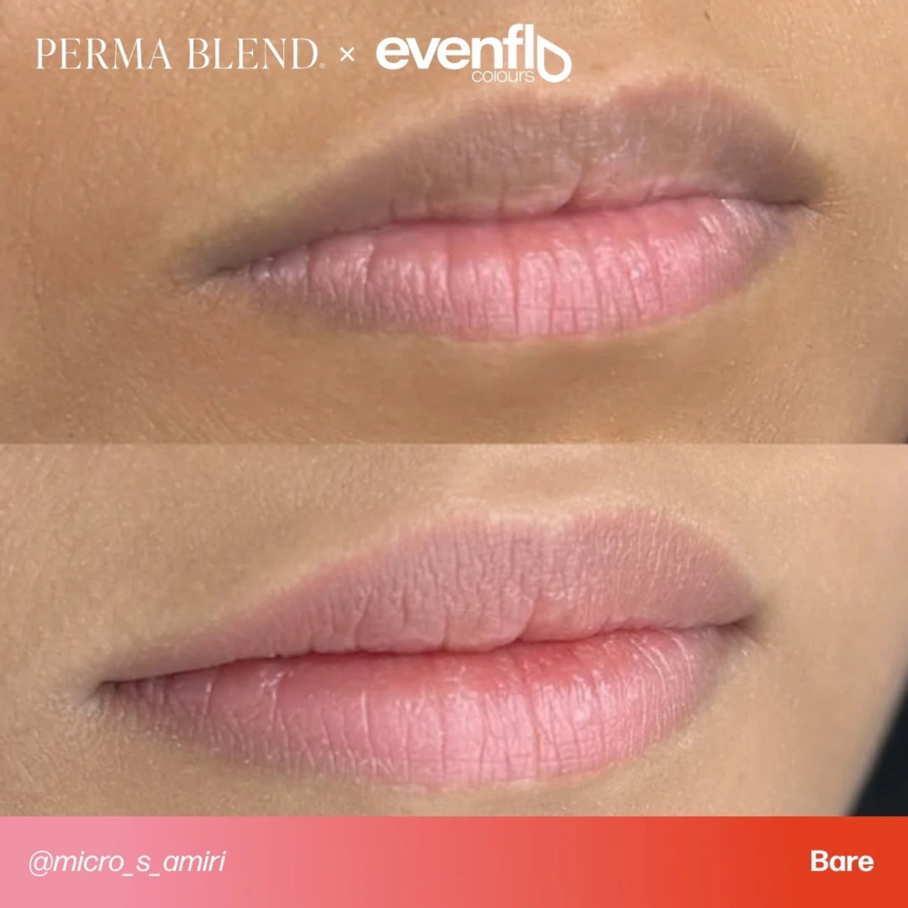 Evenflo Colours | Lip Shades