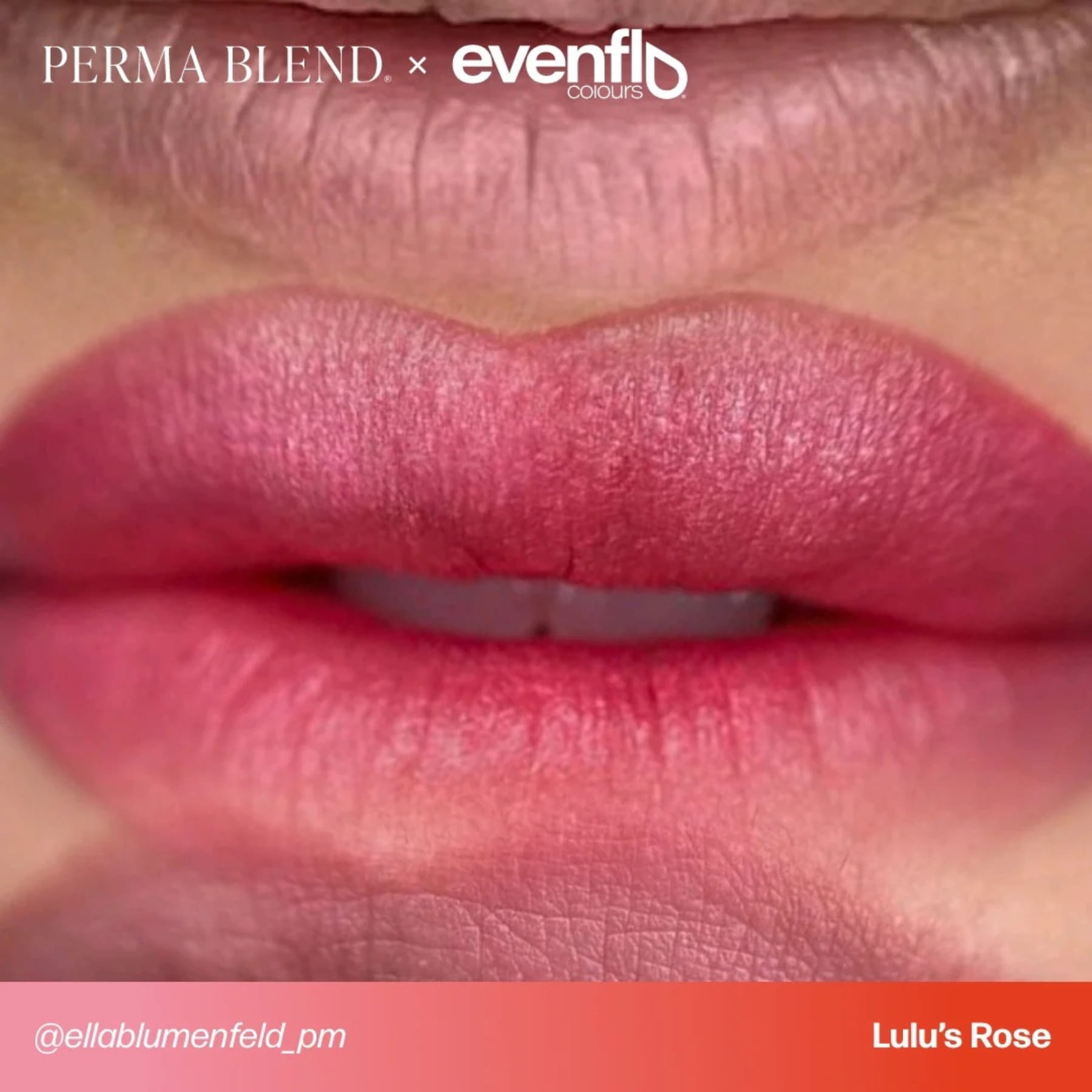 Evenflo Colours | Lip Set