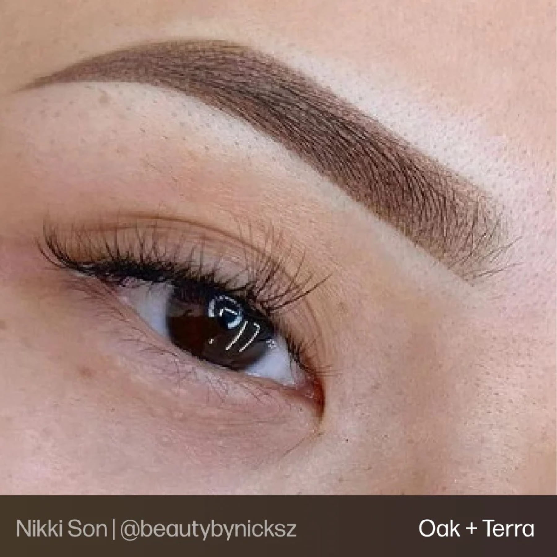 Evenflo Colours | Brow Shades