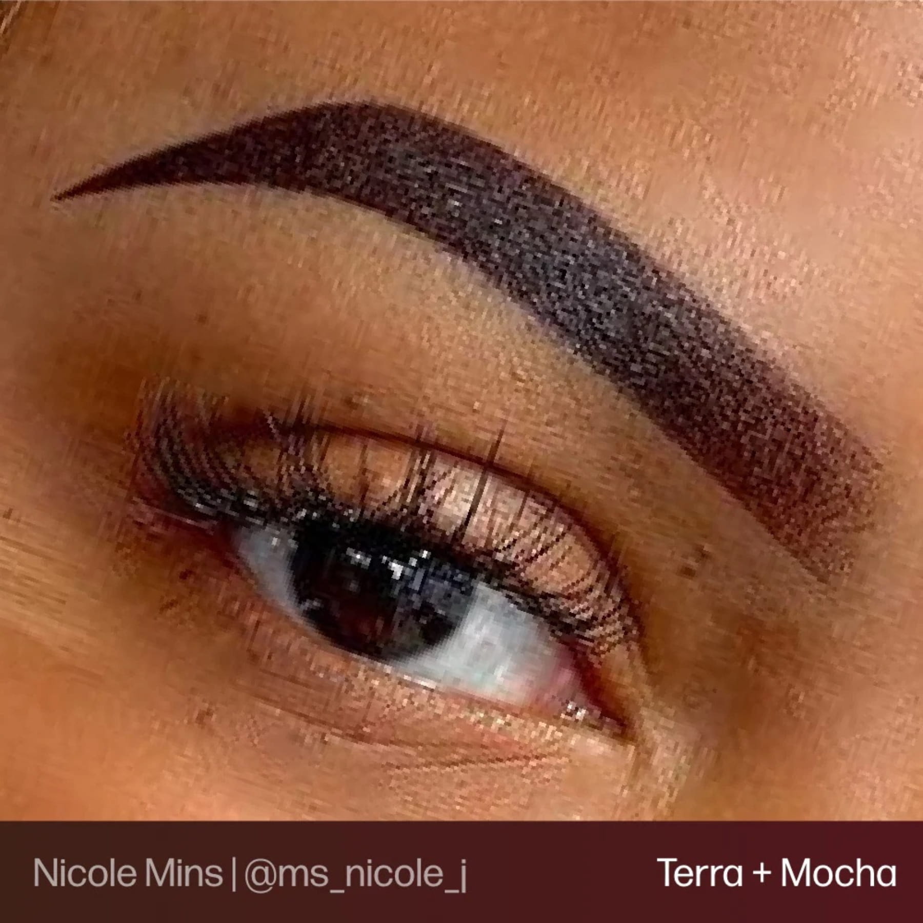 Evenflo Colours | Brow Shades