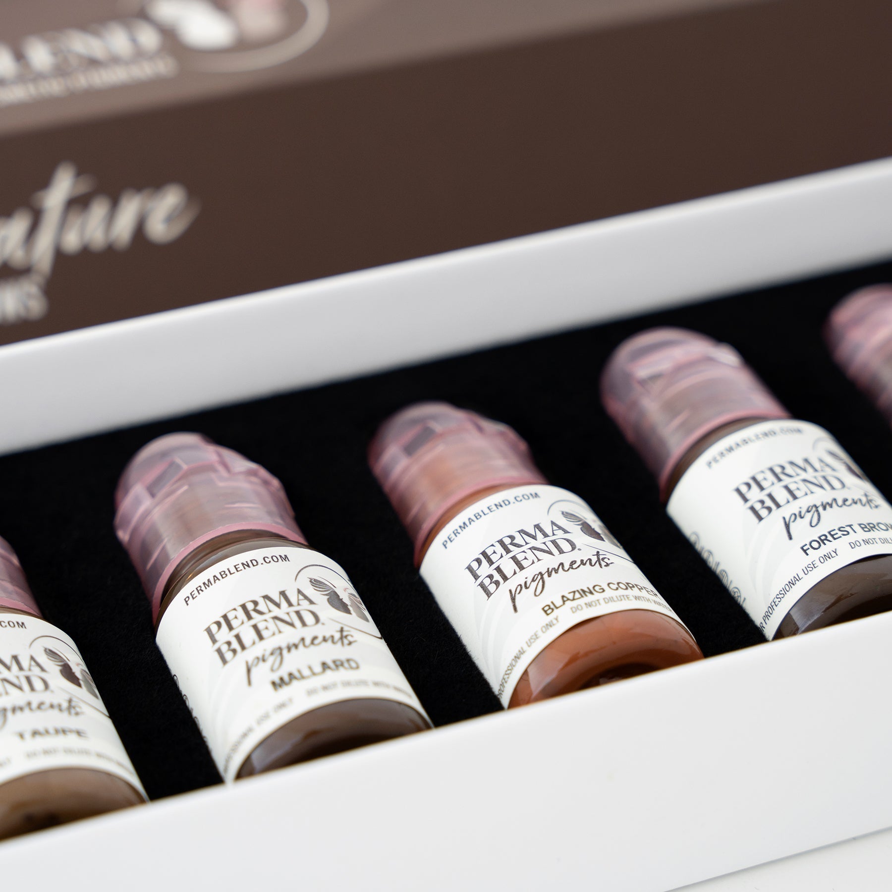 Perma Blend Signature Brow Set