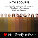 Color Course Video Tutorial